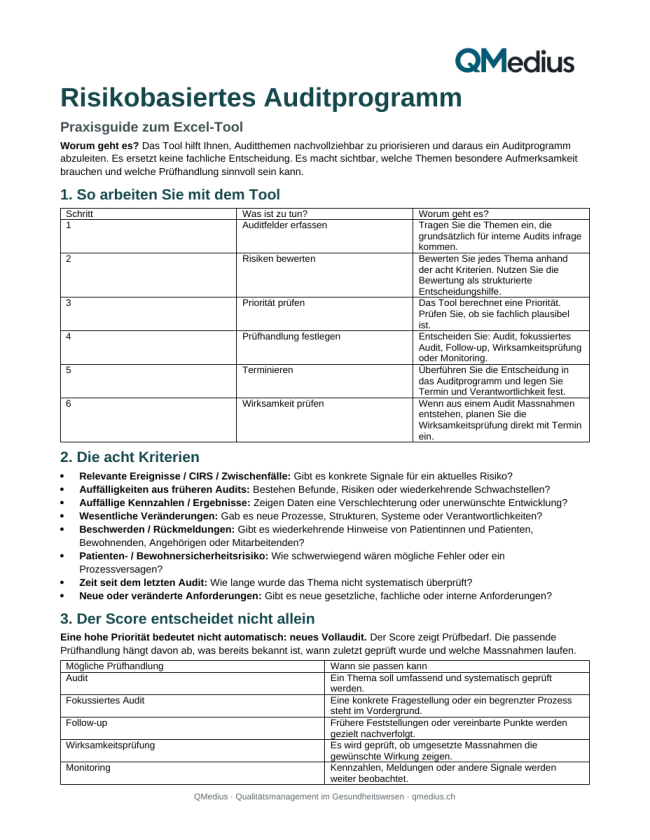 Risikobasiertes Auditprogramm